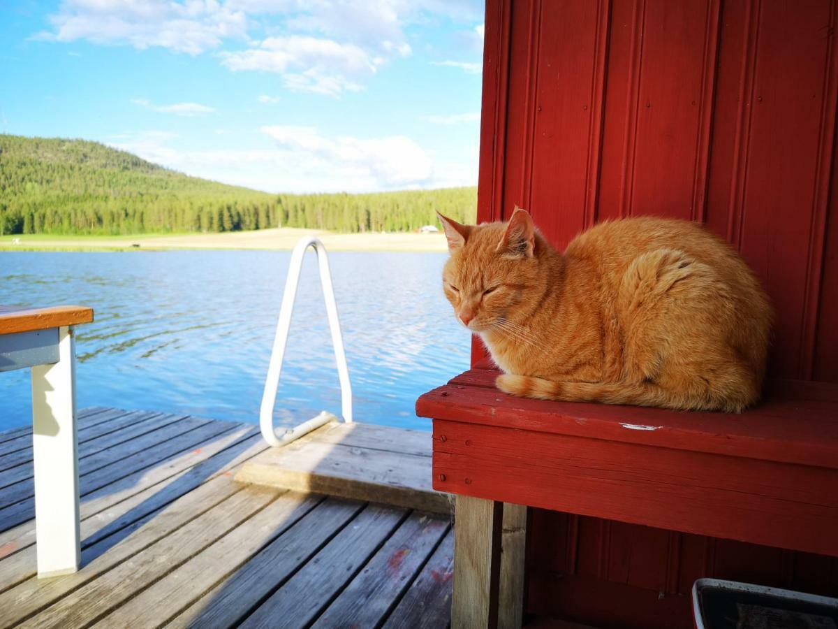 Skatauddens Lantgard Vila Älvsbyn Exterior foto